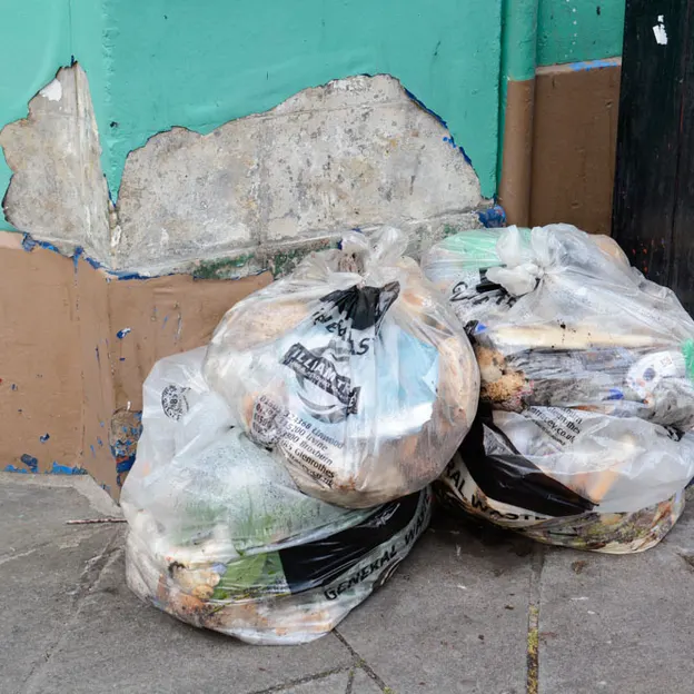 Rubbish — photograph 11 of 24