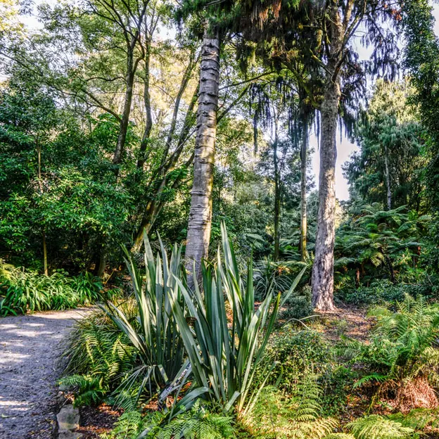 The NZ Garden At The Christchurch Botanical Gardens — photograph 15 of 52