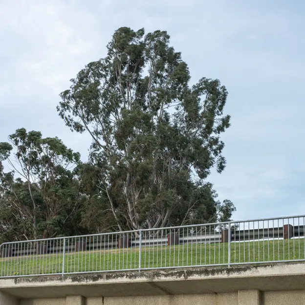 2.10.2020 Trip To Timaru (part 2) — photograph 129 of 183