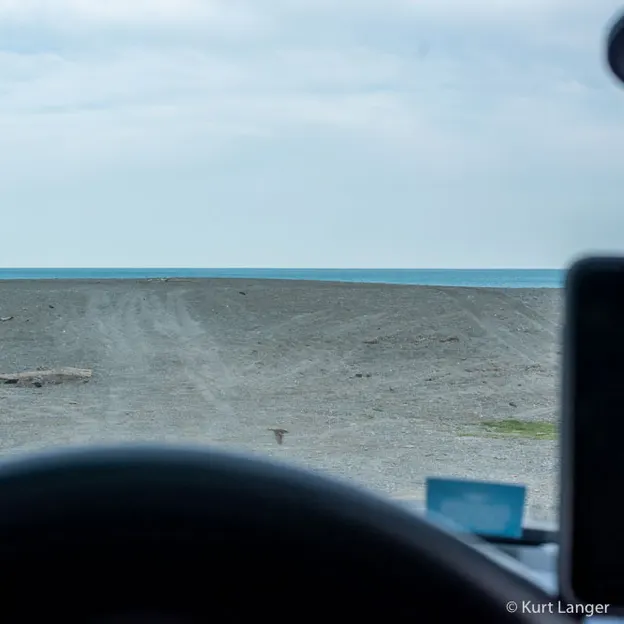2.10.2020 Trip To Timaru (part 2) — photograph 118 of 183