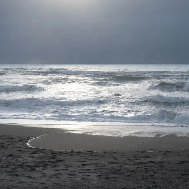 8.1.2020 Punakaiki — photograph 78 of 99