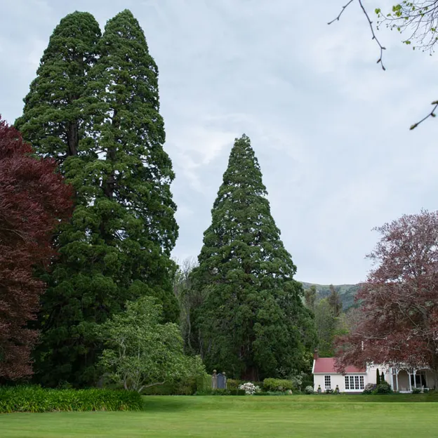 Little River Open Garden Day 27.10.2019 — photograph 95 of 113
