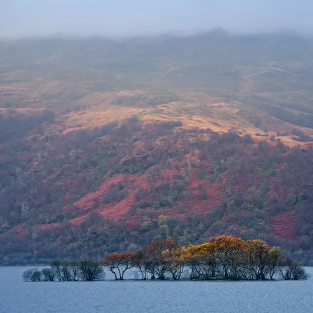 Scotlands Countryside 2012 — photograph 24 of 99