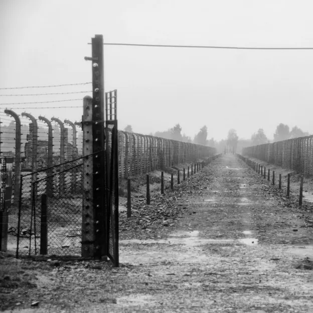 Auschwitz 2012 — photograph 25 of 27