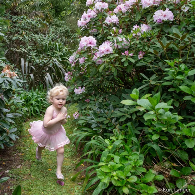 Little River Open Garden Day 27.10.2019 — photograph 47 of 113