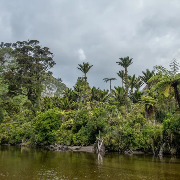 8.1.2020 Punakaiki — photograph 64 of 99