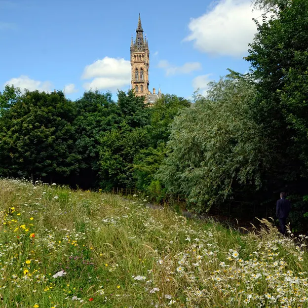 Glasgow 2012 — photograph 209 of 228