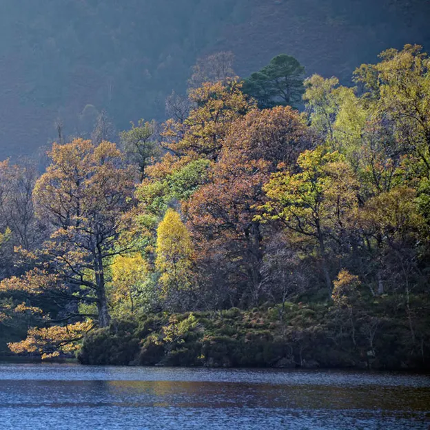 Scotlands Countryside 2012 — photograph 17 of 99