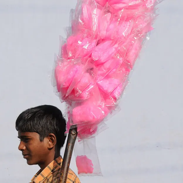 Incredible India 2010 — photograph 103 of 289