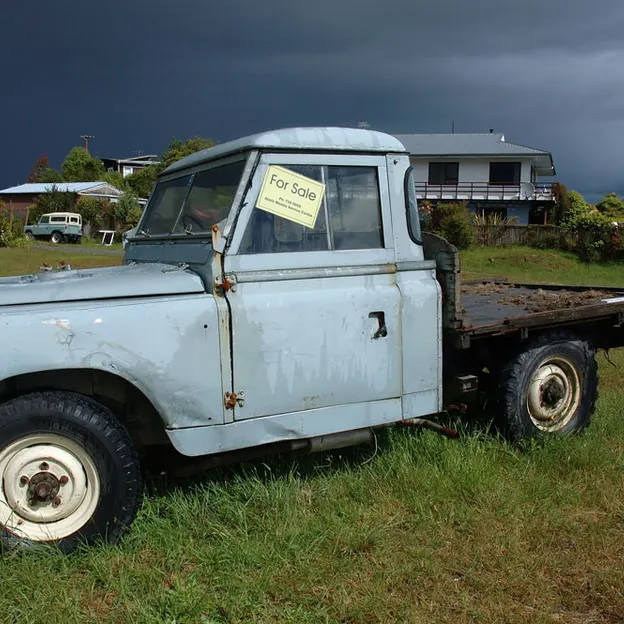 Kiwiana 1995 - 2010 — photograph 92 of 115