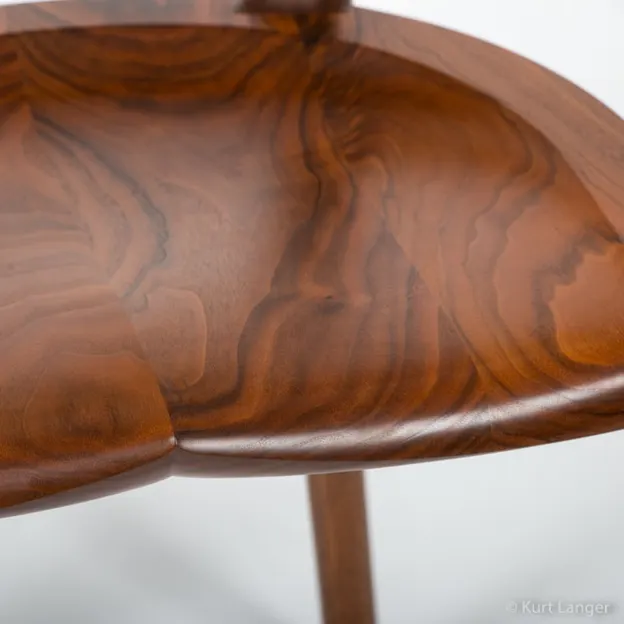 Adam Webb's Amazing Chair — photograph 14 of 37