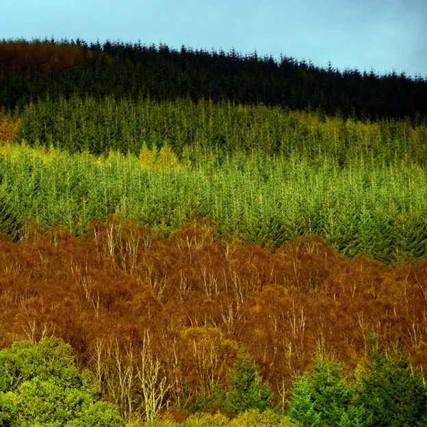 Scotlands Countryside 2012 — photograph 9 of 99
