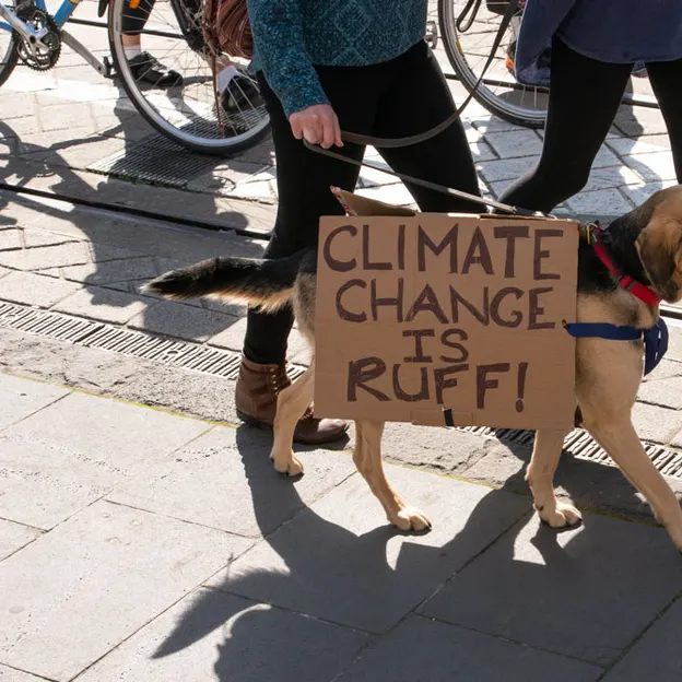 Strike for Climate Christchurch 27.09.2019 — photograph 57 of 83