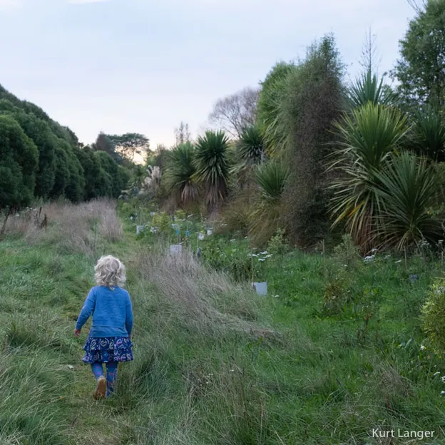7.5.2020 Travis Wetland — photograph 24 of 27