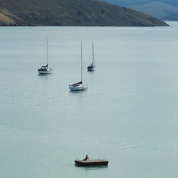 Christchurch, New Zealand — photograph 83 of 105