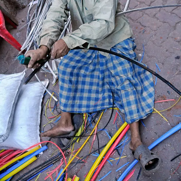 Incredible India 2010 — photograph 257 of 289