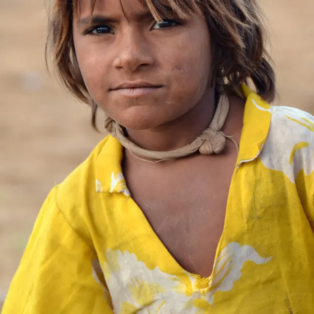 Incredible India 2010 — photograph 90 of 289