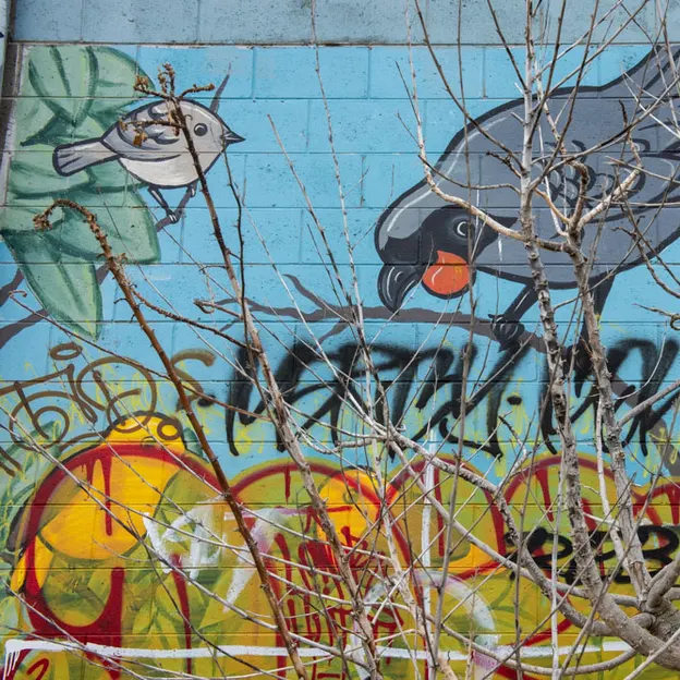 21.2.2020 New Brighton Mall Graffiti — photograph 9 of 12