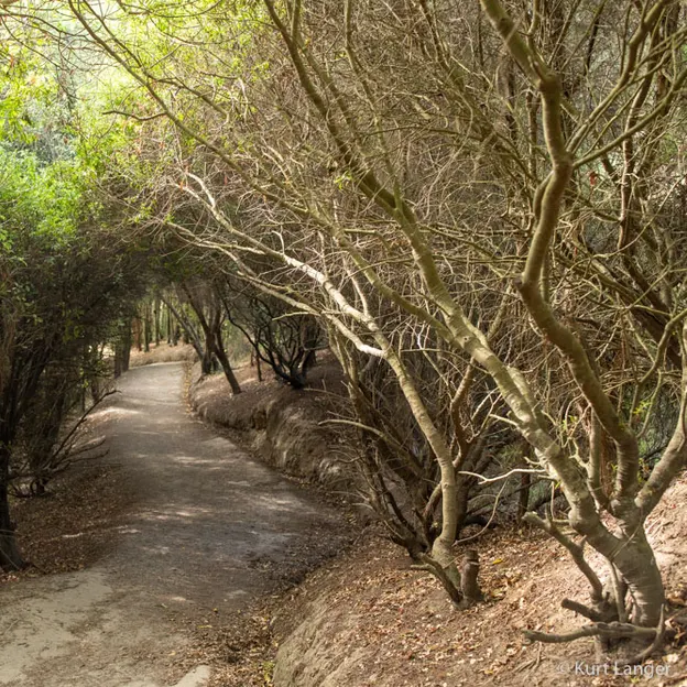 14.4.2020 Halswell Quarry Park — photograph 23 of 46