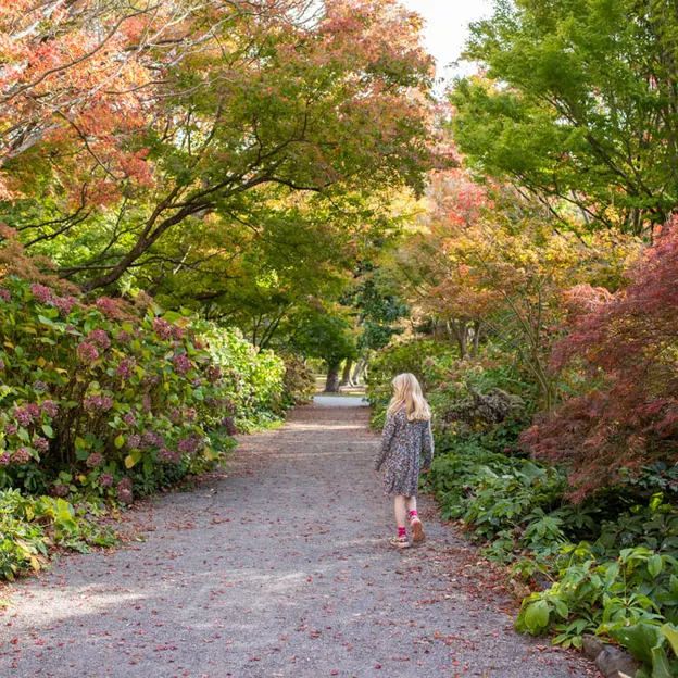 1.5.2020 At The Botanics — photograph 13 of 30
