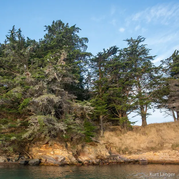 27.1.2020 Little River & Onawe Peninsula — photograph 30 of 32