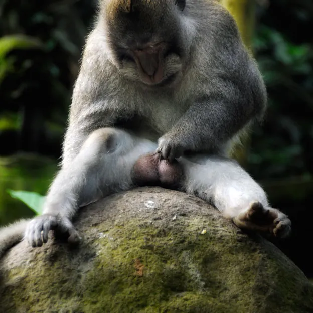 Animals — photograph 25 of 83