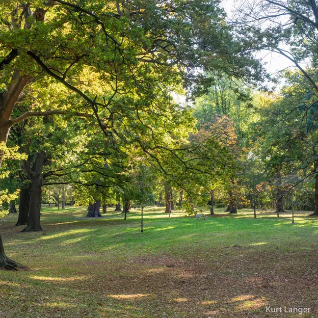 25.4.2020 North Hagley Park — photograph 15 of 38