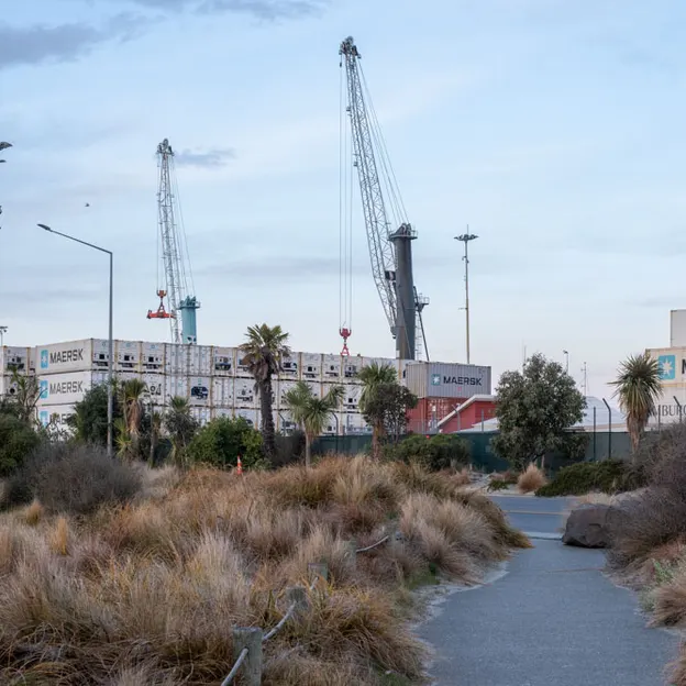 2.10.2020 Trip To Timaru (part 1)  — photograph 131 of 141