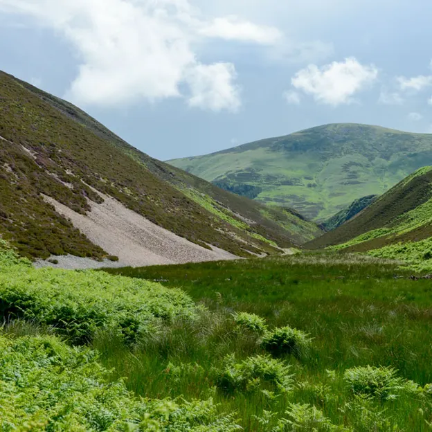 Edinburgh's Beautiful Countryside — photograph 19 of 34