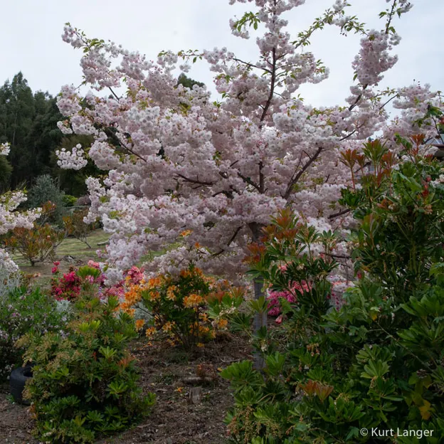 Little River Open Garden Day 27.10.2019 — photograph 108 of 113