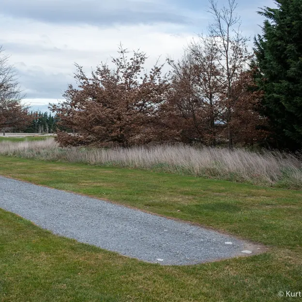 11.7.2020 Terrace Downs — photograph 60 of 86
