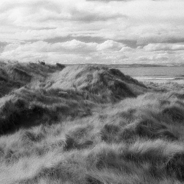 Christchurch, New Zealand — photograph 63 of 105