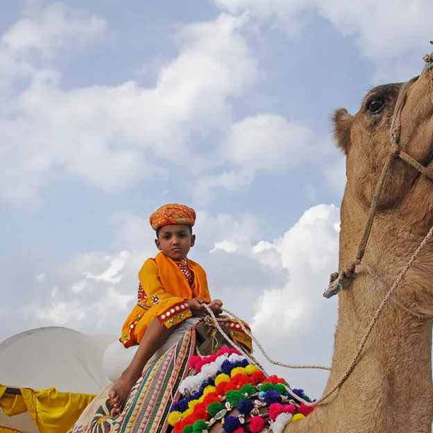 Incredible India 2010 — photograph 75 of 289
