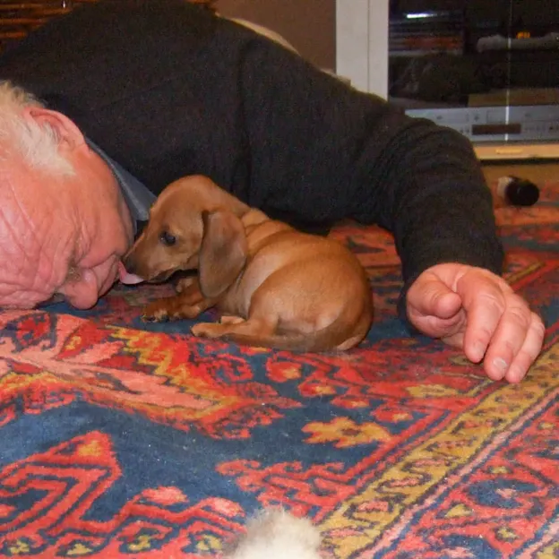 The Life Of Hans Langer — photograph 222 of 230
