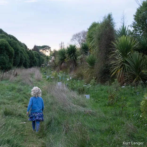 7.5.2020 Travis Wetland — photograph 25 of 27