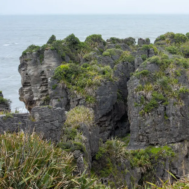 8.1.2020 Punakaiki — photograph 18 of 99