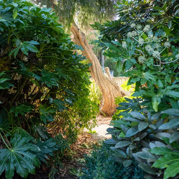 28.4.2020 7 Oaks — photograph 43 of 56