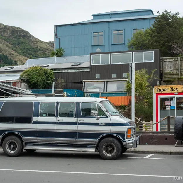 11.6.2020 Lyttelton Walkabouts — photograph 63 of 73