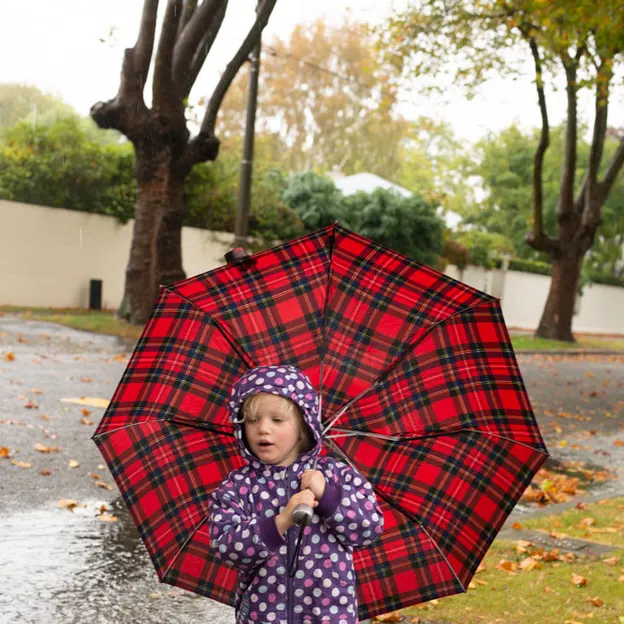 30.3.2020 A Walk In The Rain — photograph 11 of 22
