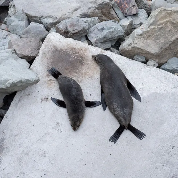 24.10.2020 Kaikoura With Family — photograph 36 of 64