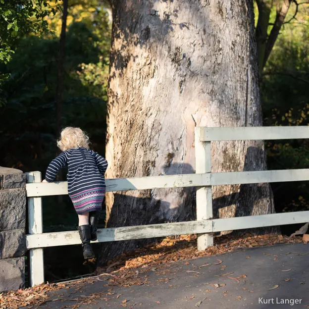 15.5.2020 Heidi at Millbrook Reserve — photograph 16 of 36