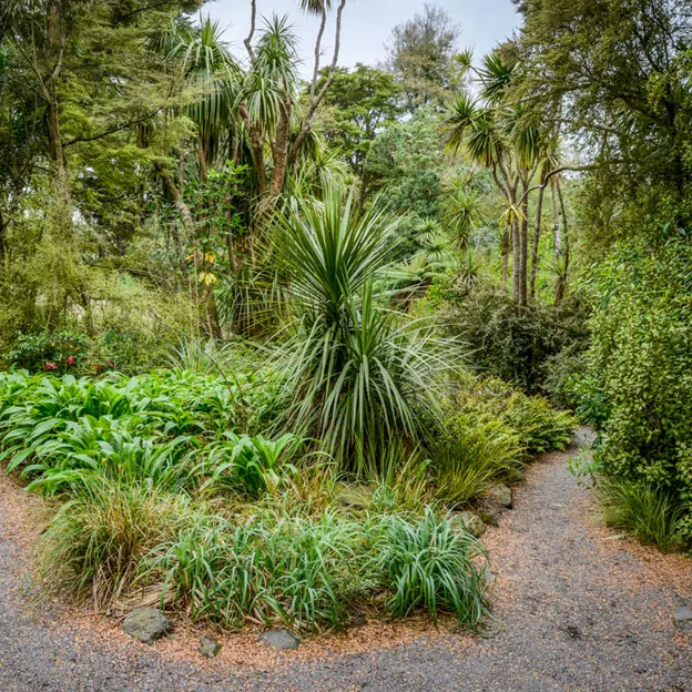 The NZ Garden At The Christchurch Botanical Gardens — photograph 30 of 52