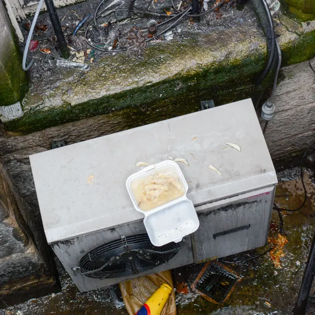 Rubbish — photograph 18 of 24