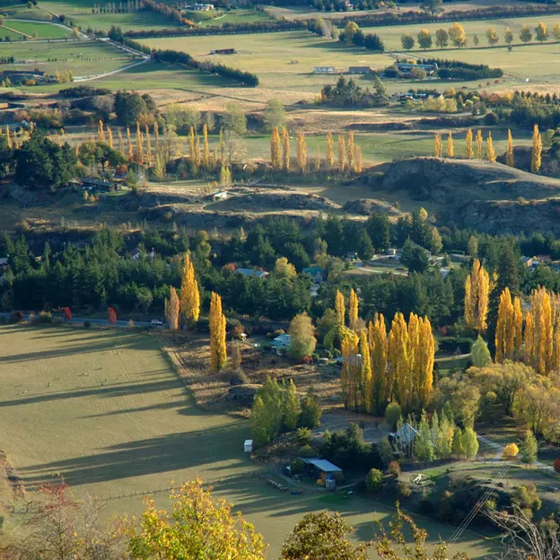 NZ Scenery — photograph 62 of 76