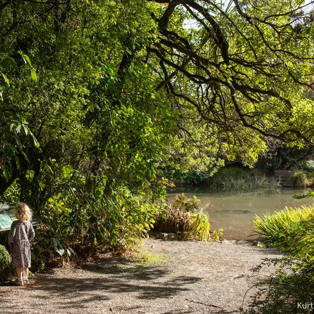 1.5.2020 At The Botanics — photograph 16 of 30