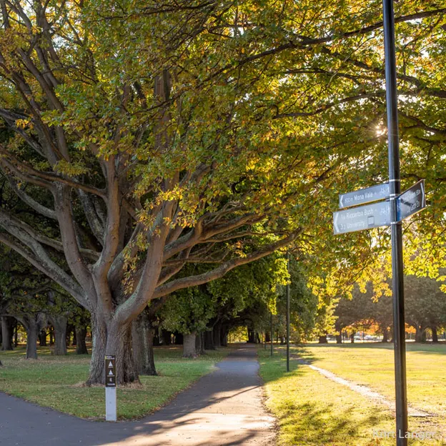 25.4.2020 North Hagley Park — photograph 25 of 38