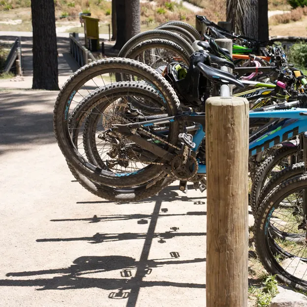 18.1.2020 Skate Bike Park & Chris Swimming — photograph 11 of 30