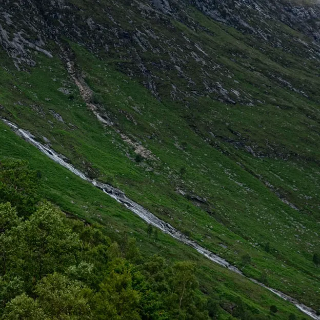 Scotlands Countryside 2012 — photograph 48 of 99