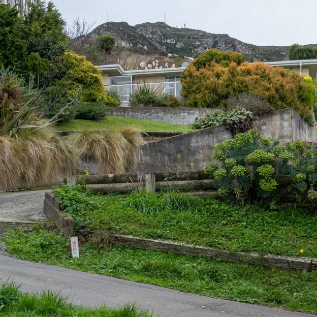 11.6.2020 Lyttelton Walkabouts — photograph 36 of 73