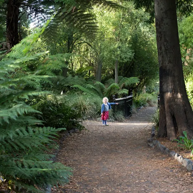 10.5.2020 Riccarton Bush & Millbrook  — photograph 11 of 31